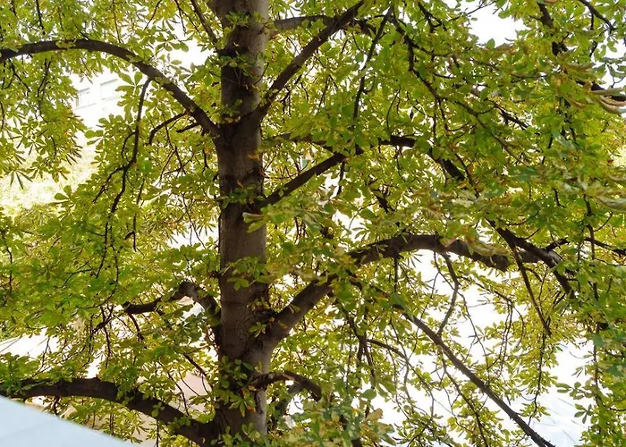 Apartmán Amazing - Location - Netflix Bukurešť