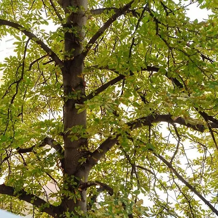 Apartman Amazing - Location - Netflix Bukarest